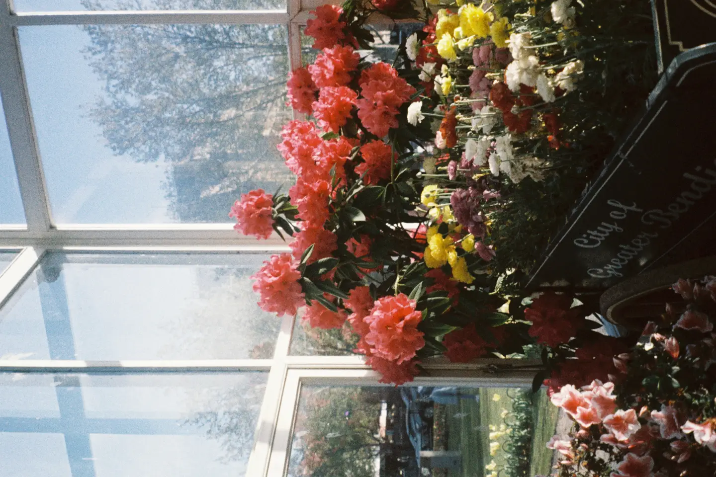 Warm light through a window, evoking a safe and welcoming counselling space